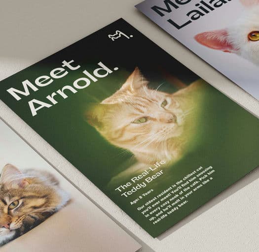 Meow Manor – Food & Beverage identity by Two Moons Studio, additional view 7 of 9