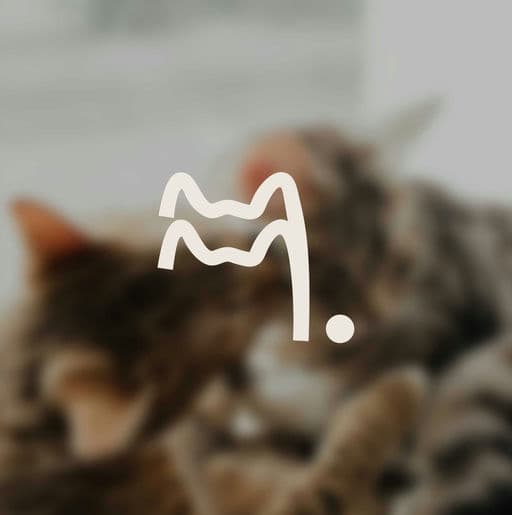Meow Manor – Food & Beverage identity by Two Moons Studio, additional view 4 of 9