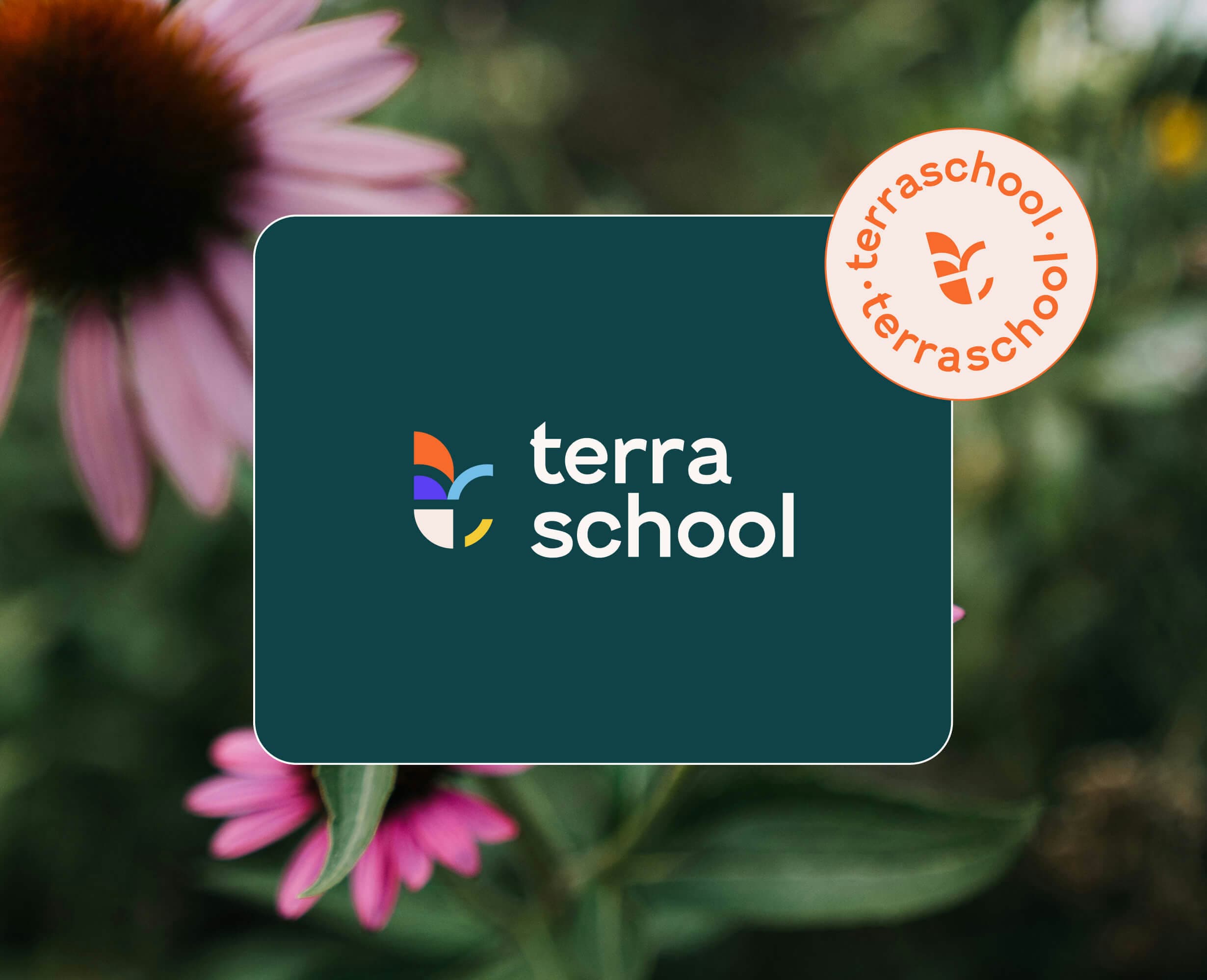 Terra School