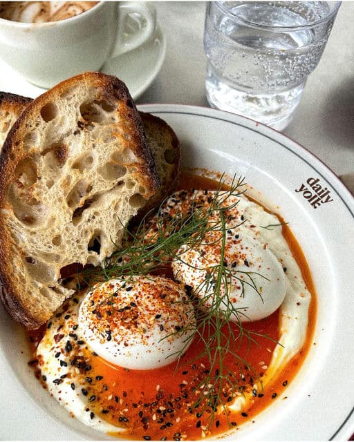 Daily Yolk