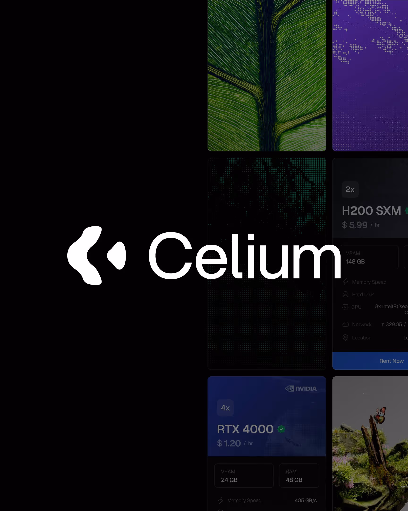 Celium
