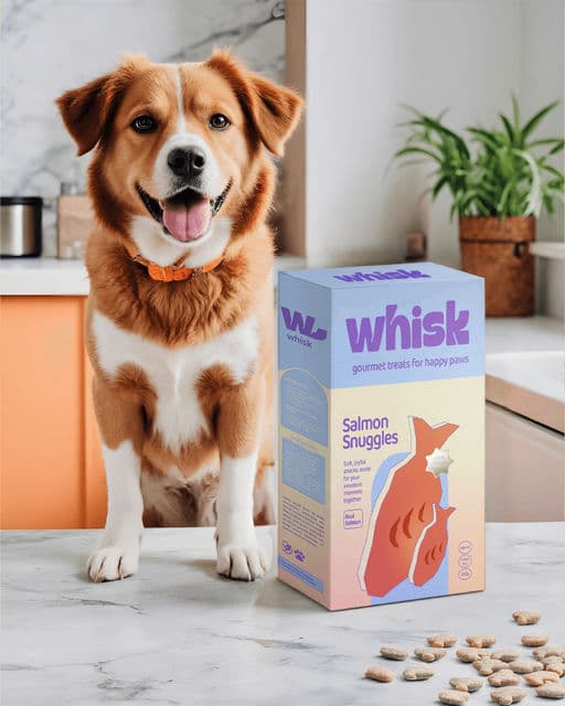 Whisk