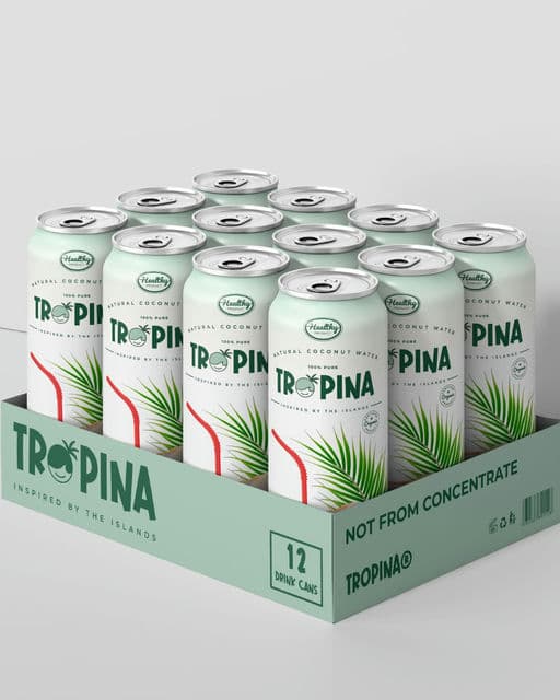 Tropina | Visual Brand Identity Design