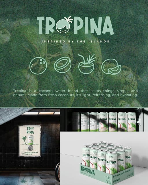 Tropina | Visual Brand Identity Design