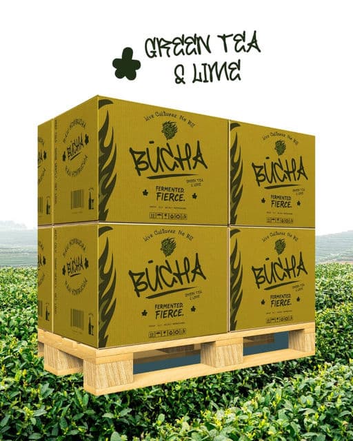 BÜCHA | Visual Brand Identity Design