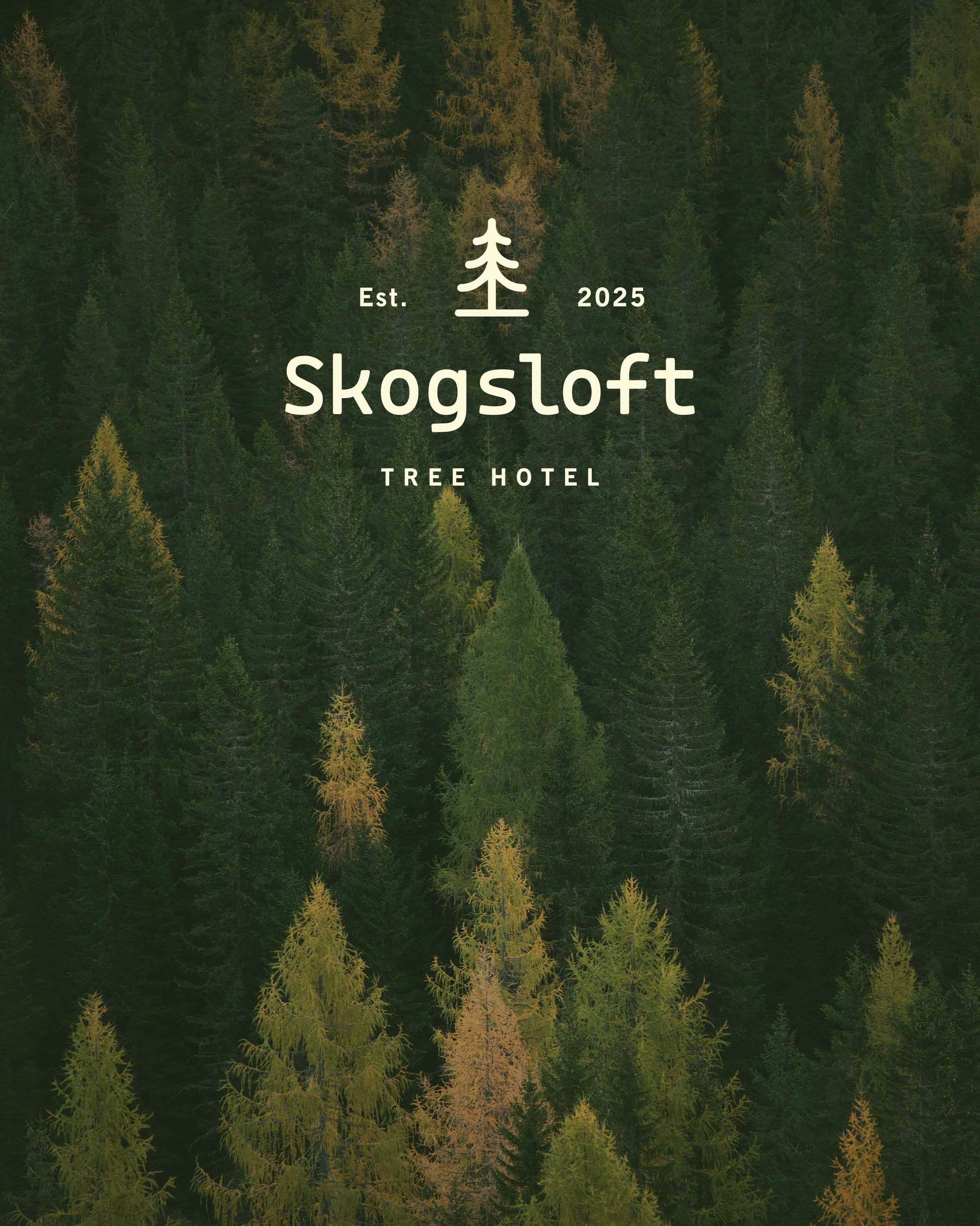 Skogsloft Tree Hotel