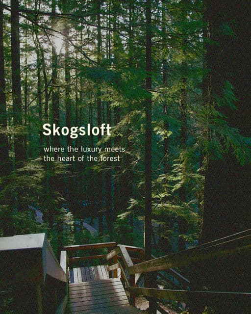 Skogsloft Tree Hotel