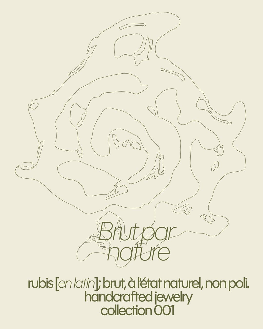 RUDIS